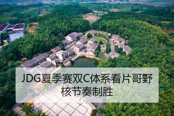 JDG夏季赛双C体系看片哥野核节奏制胜