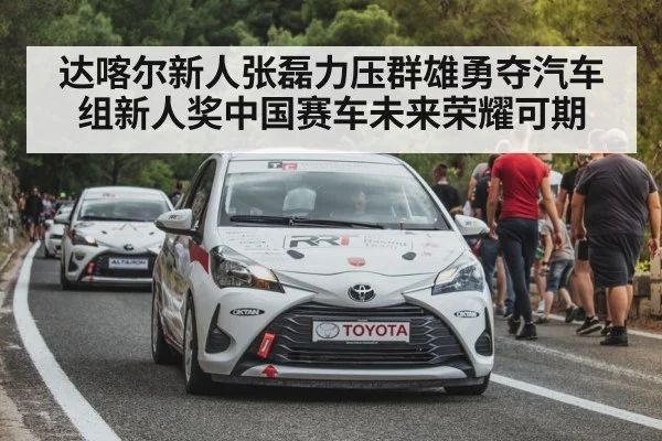 Chinese rally driver